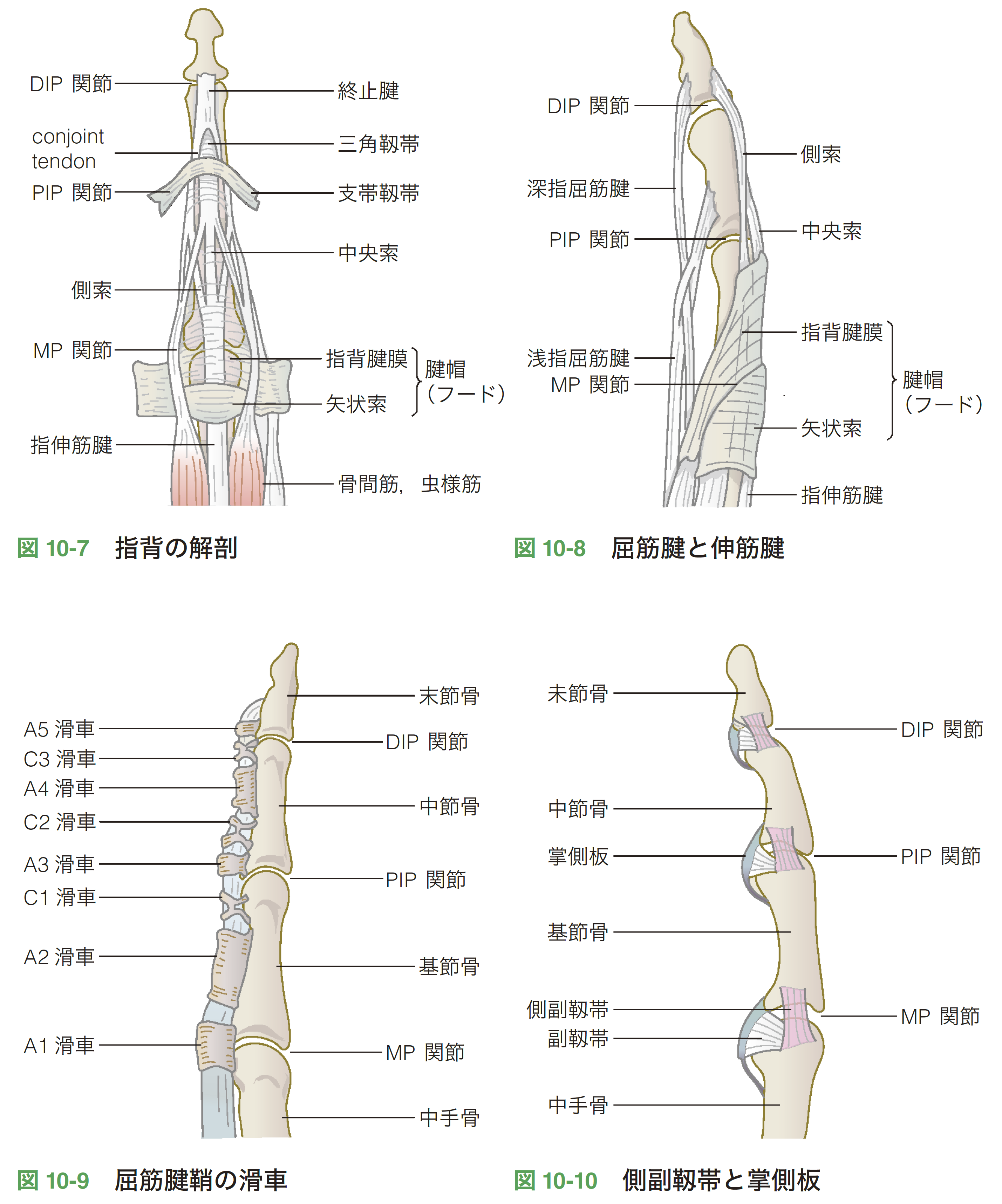 図10-7-10.png