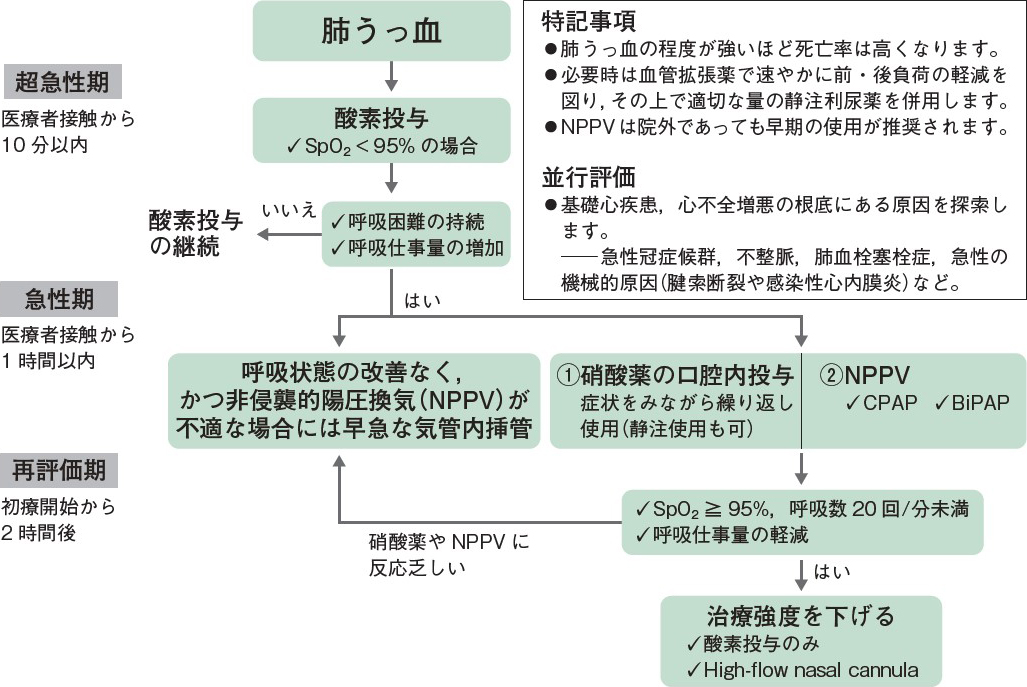 小児向けの完全なうっ血除去療法