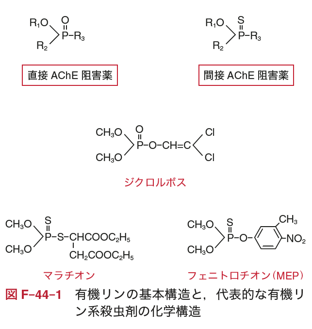 図F-44-1.png