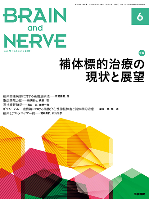 BRAIN and NERVE Vol.71 No.6