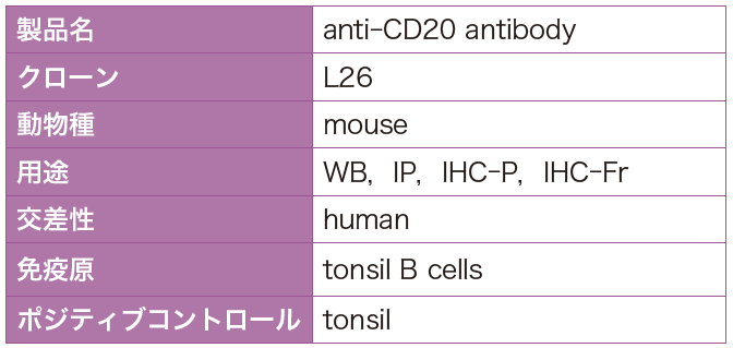 ipg3_fig4.PNG