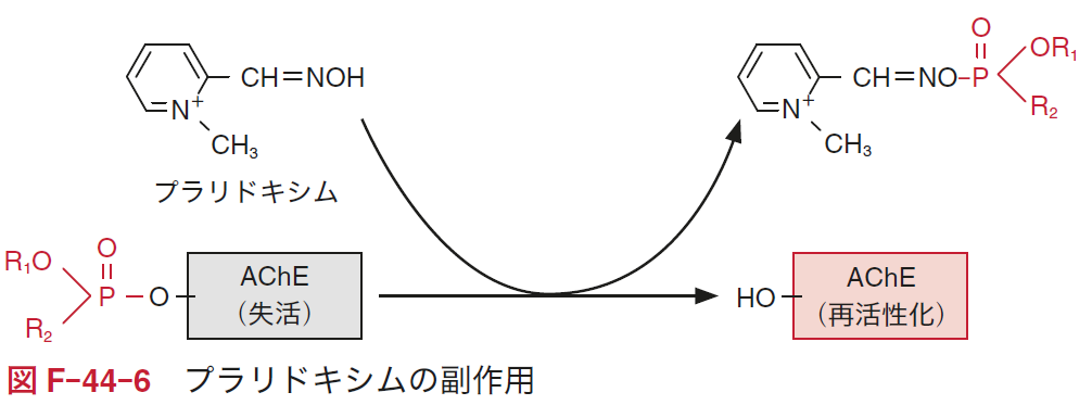 図F-44-6.png