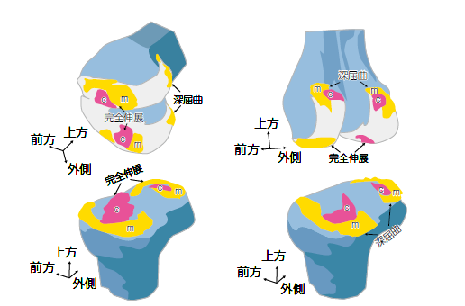 新こんなとき2_どうする図2-3.png