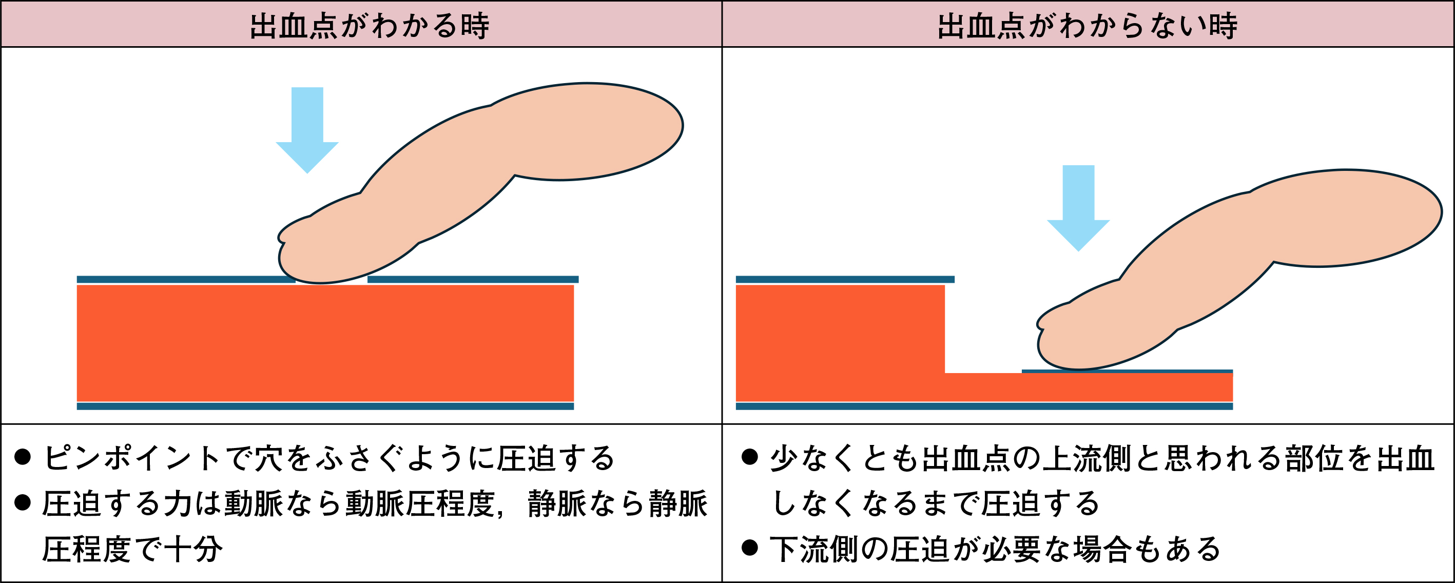 010455-f01.jpg