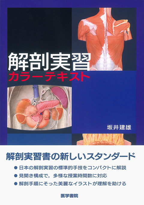 女性生体解剖  人体ハーフボディマネキン、人体生体解剖モデル - Buy 生物解剖 ...
