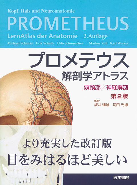 裁断済み　プロメテウス解剖学アトラス 頭頸部/神経解剖