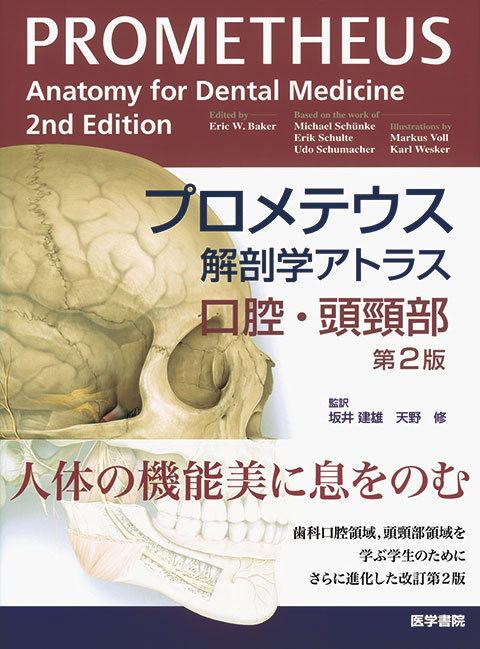 プロメテウス解剖学アトラス 口腔 頭頸部 第2版 書籍詳細 書籍 医学書院