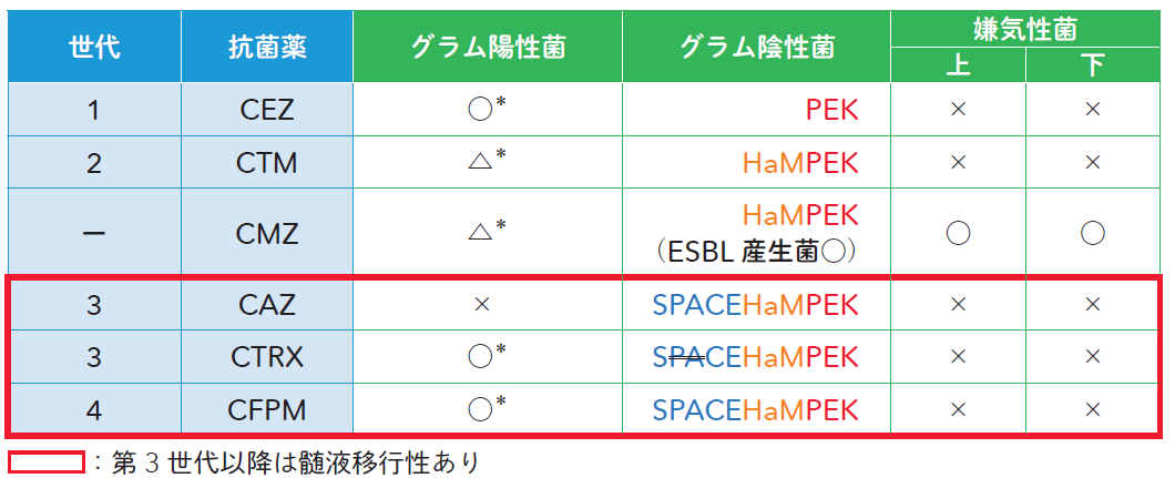 スクリーンショット 2026-01-08 192113.png