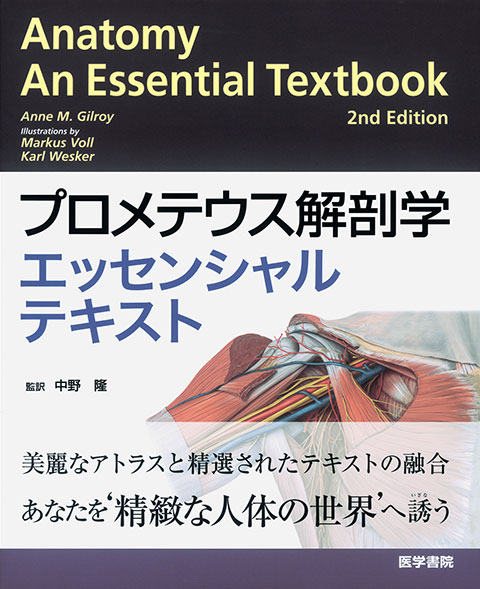 プロメテウス解剖学エッセンシャルテキスト