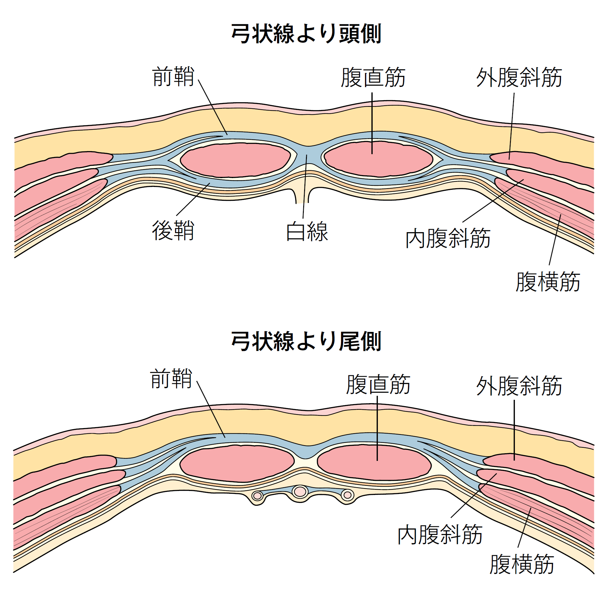 pic_001.png