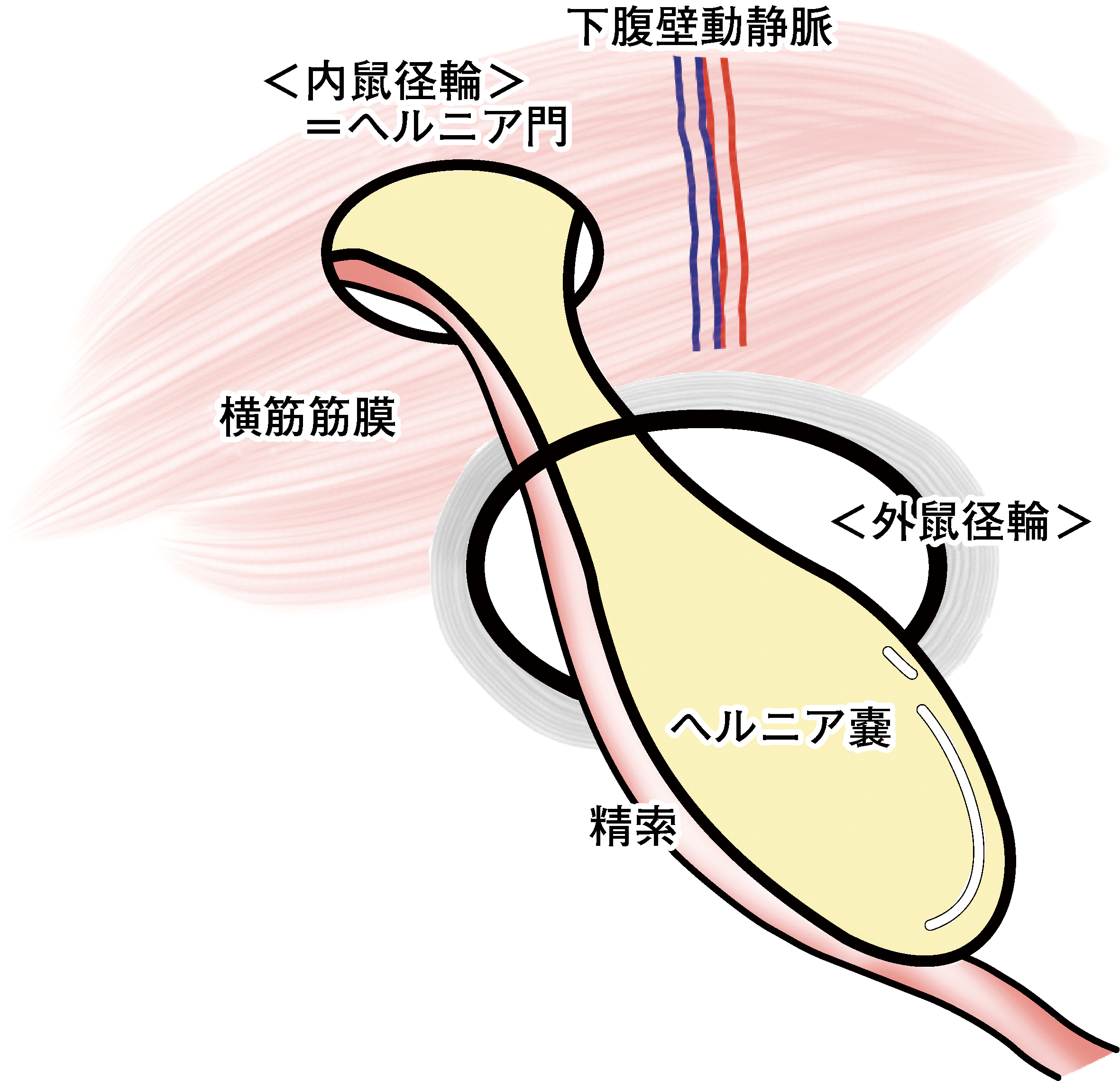 3573号_Web用_図3.jpg