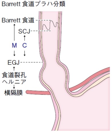 イラスト.jpg