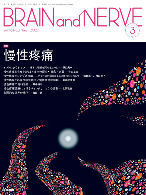 BRAIN and NERVE Vol.75 No.3