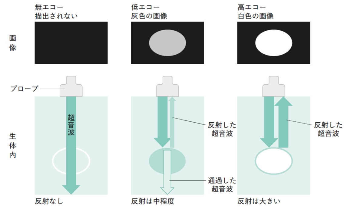 図2-8.jpg