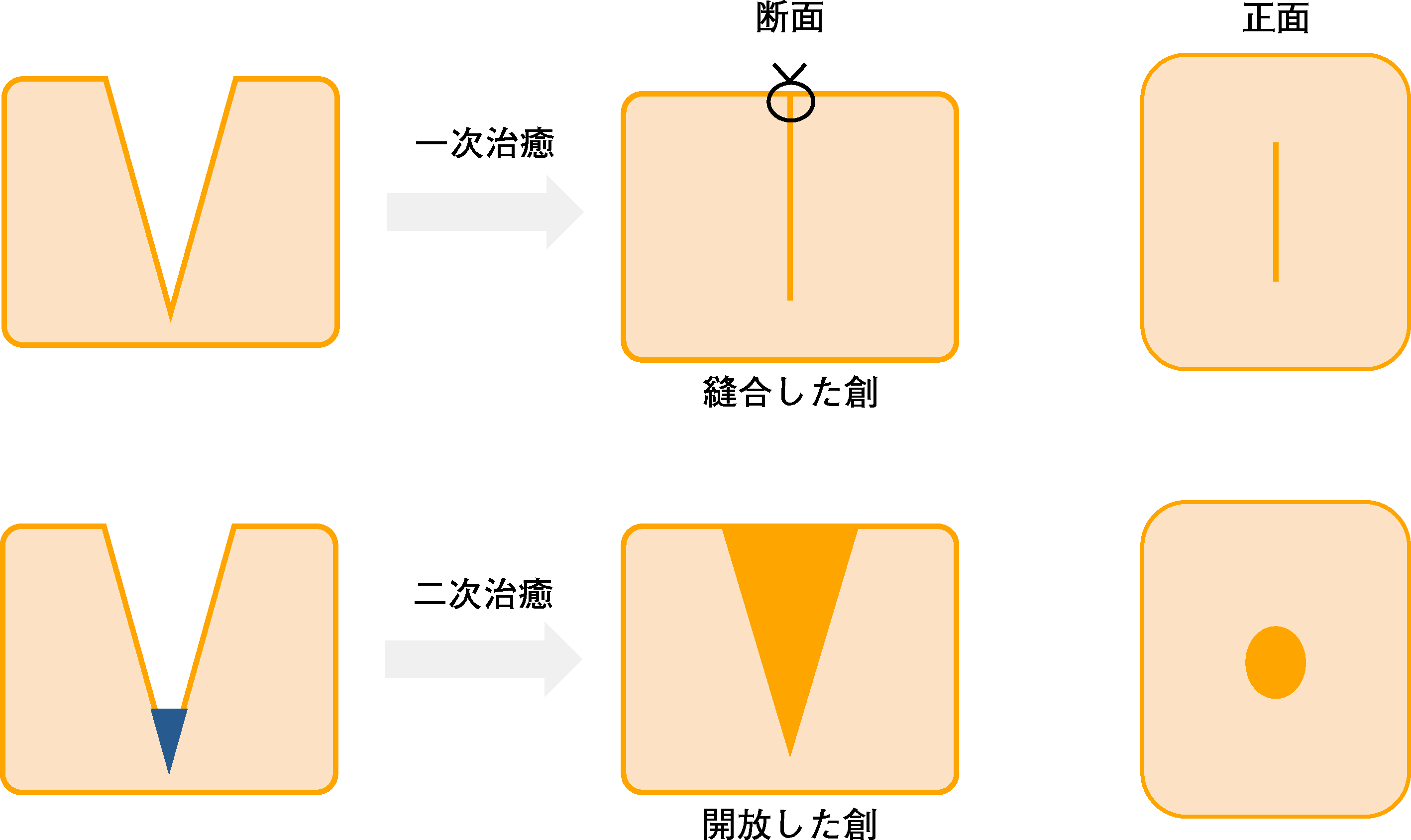 図1.jpg