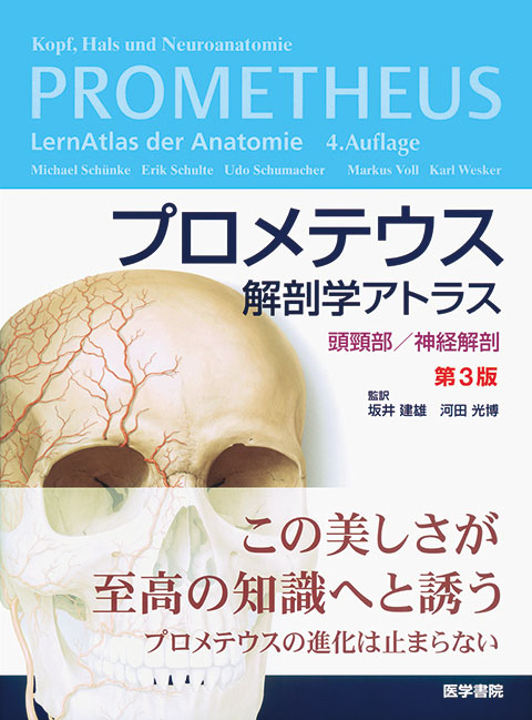 裁断済み　プロメテウス解剖学アトラス 頭頸部/神経解剖