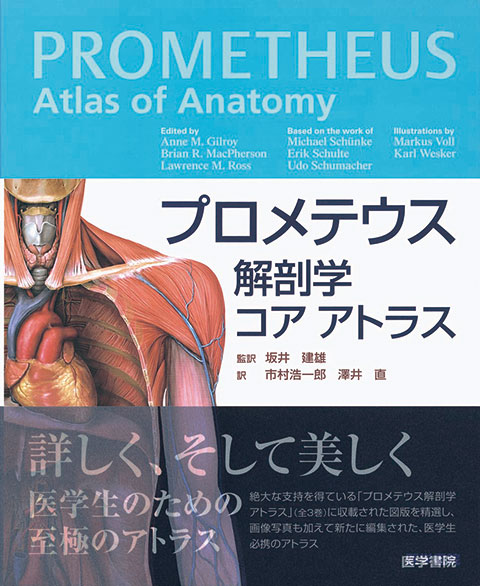 プロメテウス解剖学 コア アトラス | 書籍詳細 | 書籍 | 医学書院