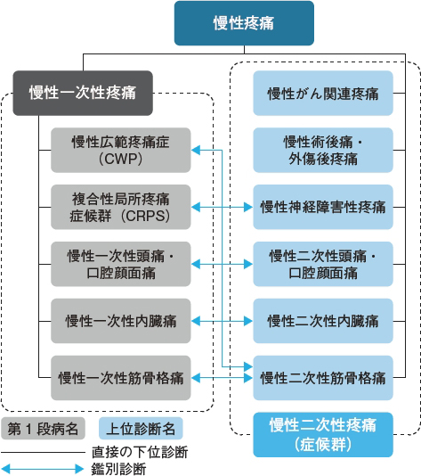 ICD-11における慢性疼痛の分類