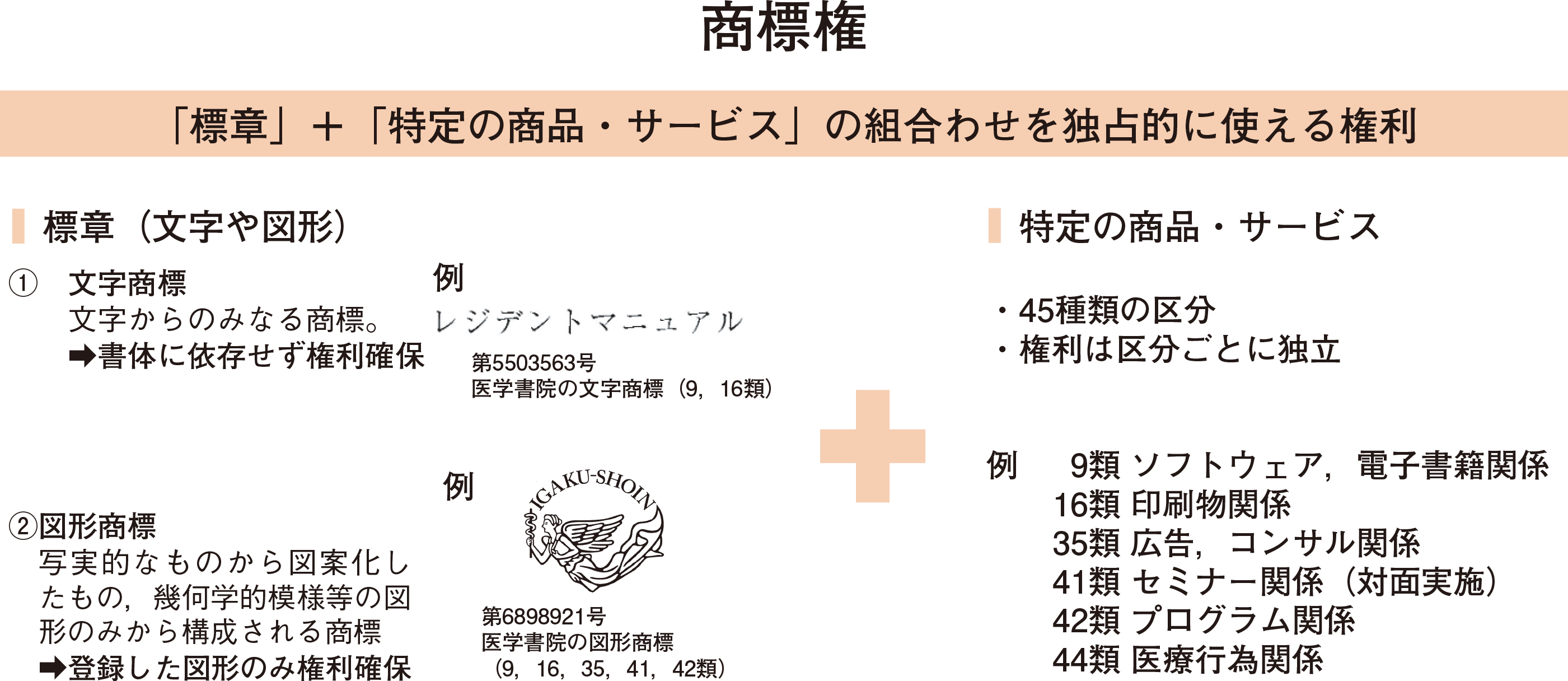 3587号_Web用_図1_7G102.jpg