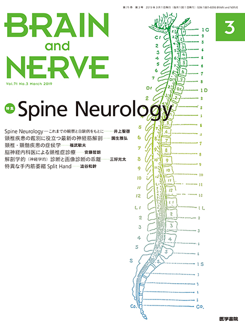 BRAIN and NERVE Vol.71 No.3