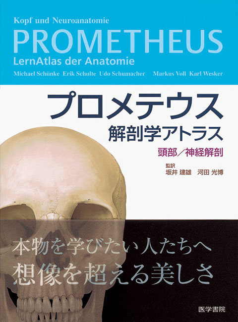 プロメテウス解剖学アトラス 頭頸部/神経解剖 第2版 坂井 建雄