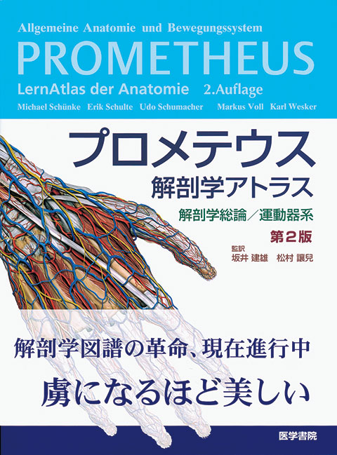 プロメテウス解剖学アトラス 解剖学総論／運動器系 第2版 | 書籍詳細 