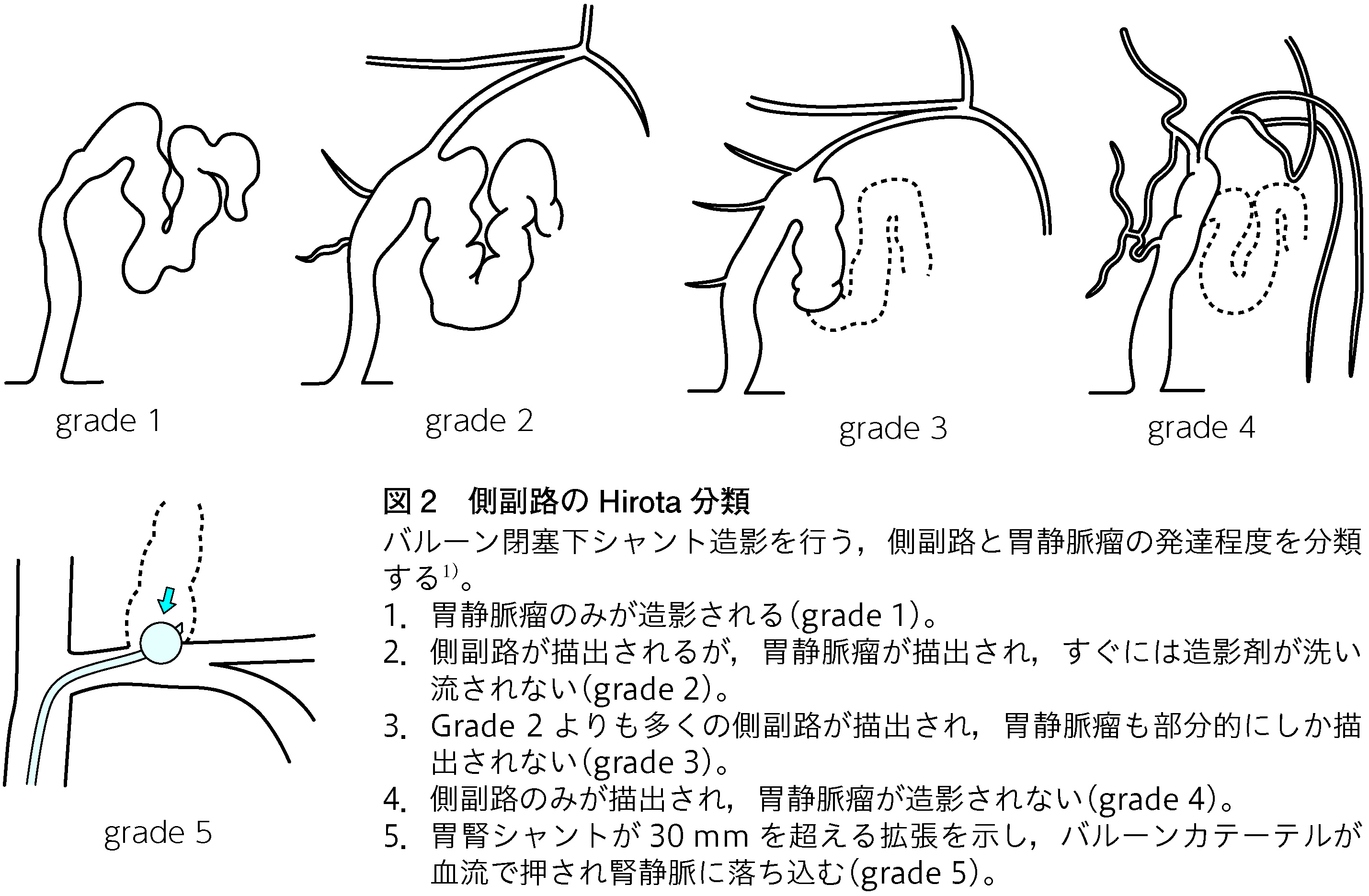 p235_2.jpg