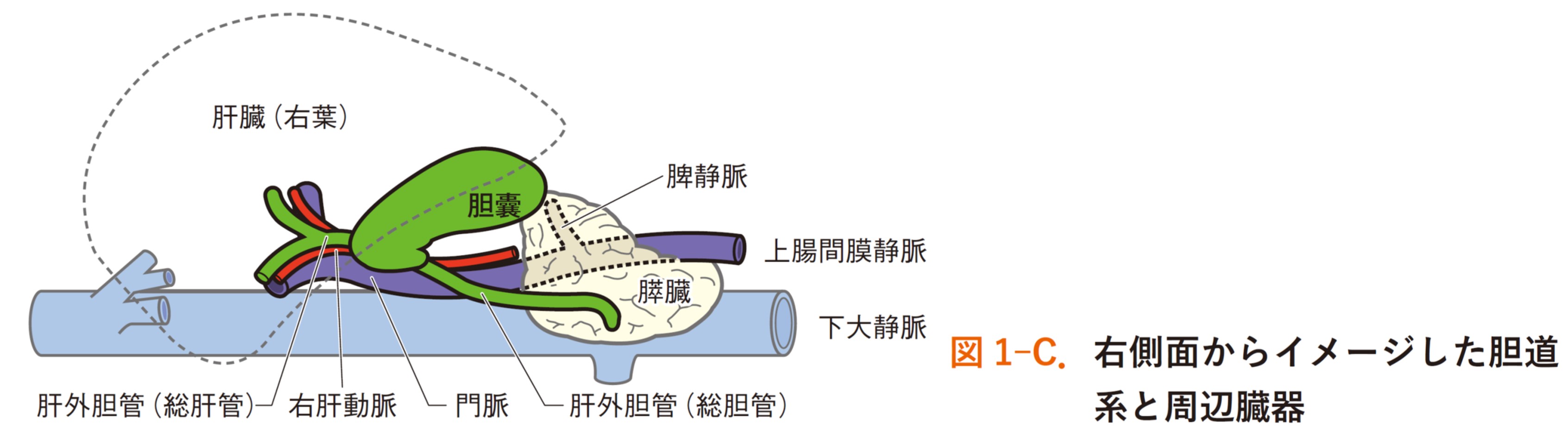 図1-C.jpg