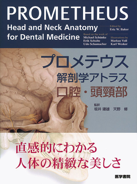プロメテウス解剖学アトラス 口腔・頭頸部 | 書籍詳細 | 書籍 | 医学書院