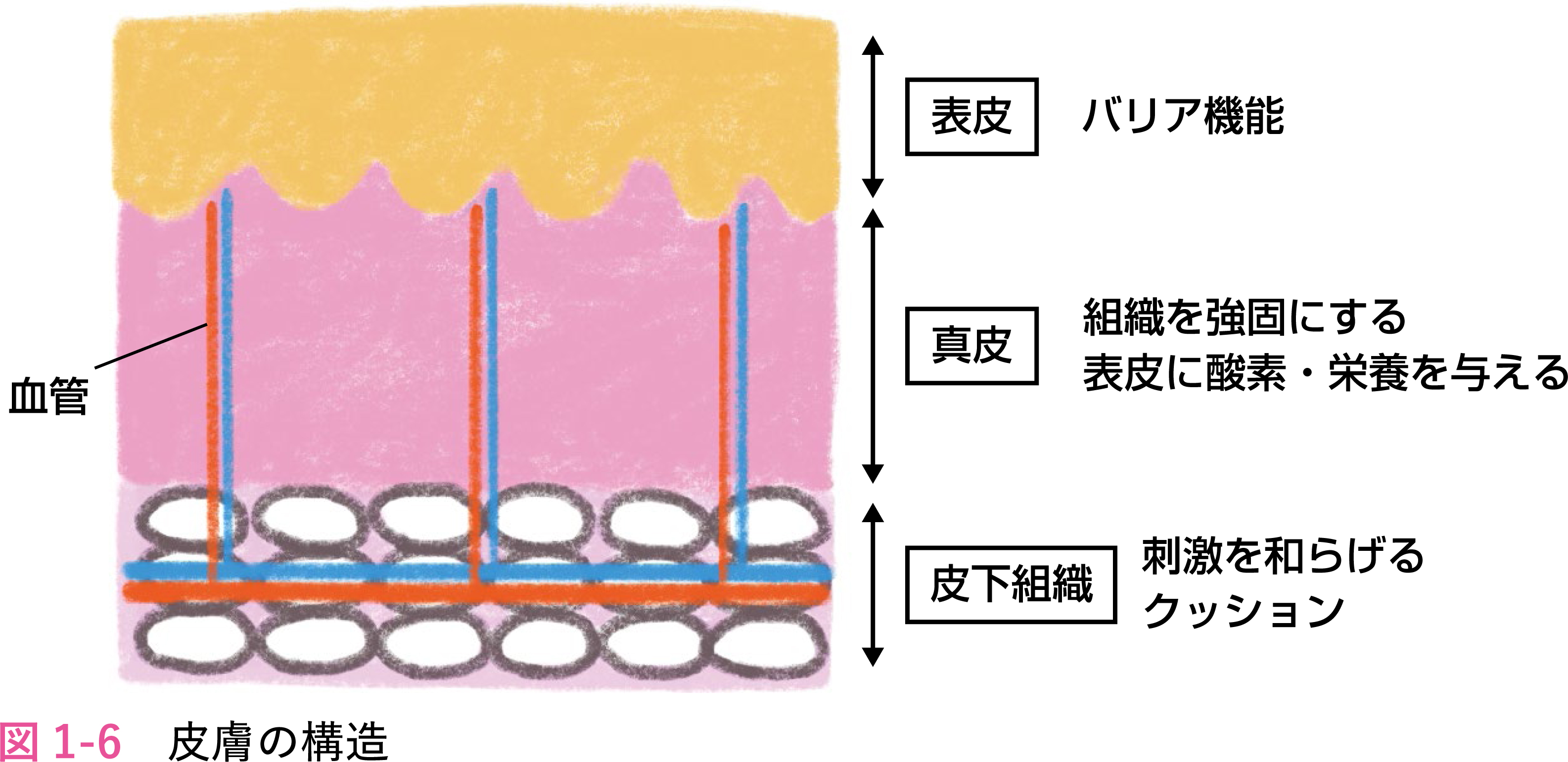 図1-6.jpg