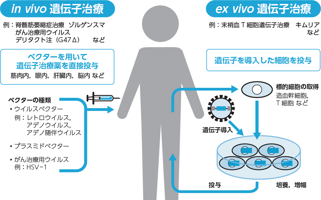 国際新型コロナウイルス細胞治療研究会公式 hp