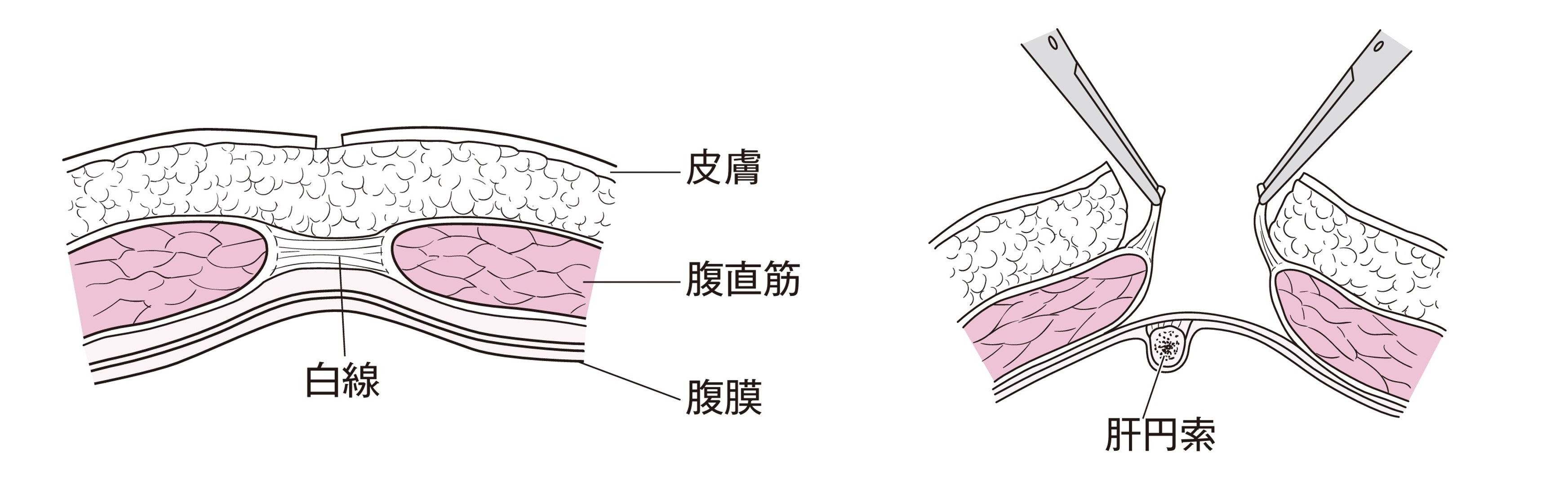 pic_001.png
