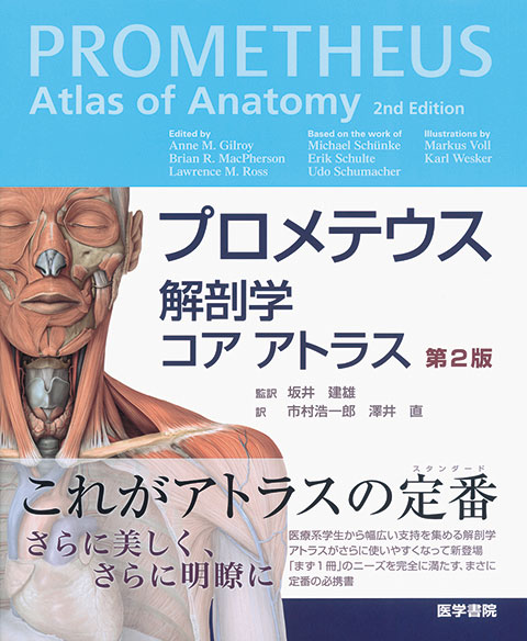 プロメテウス解剖学 コア アトラス 第2版 | 書籍詳細 | 書籍 | 医学書院