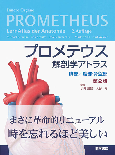 プロメテウス解剖学アトラス 胸部 腹部 骨盤部 第2版 書籍詳細 書籍 医学書院