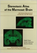 Stereotaxic Atlas of the Marmoset Brain