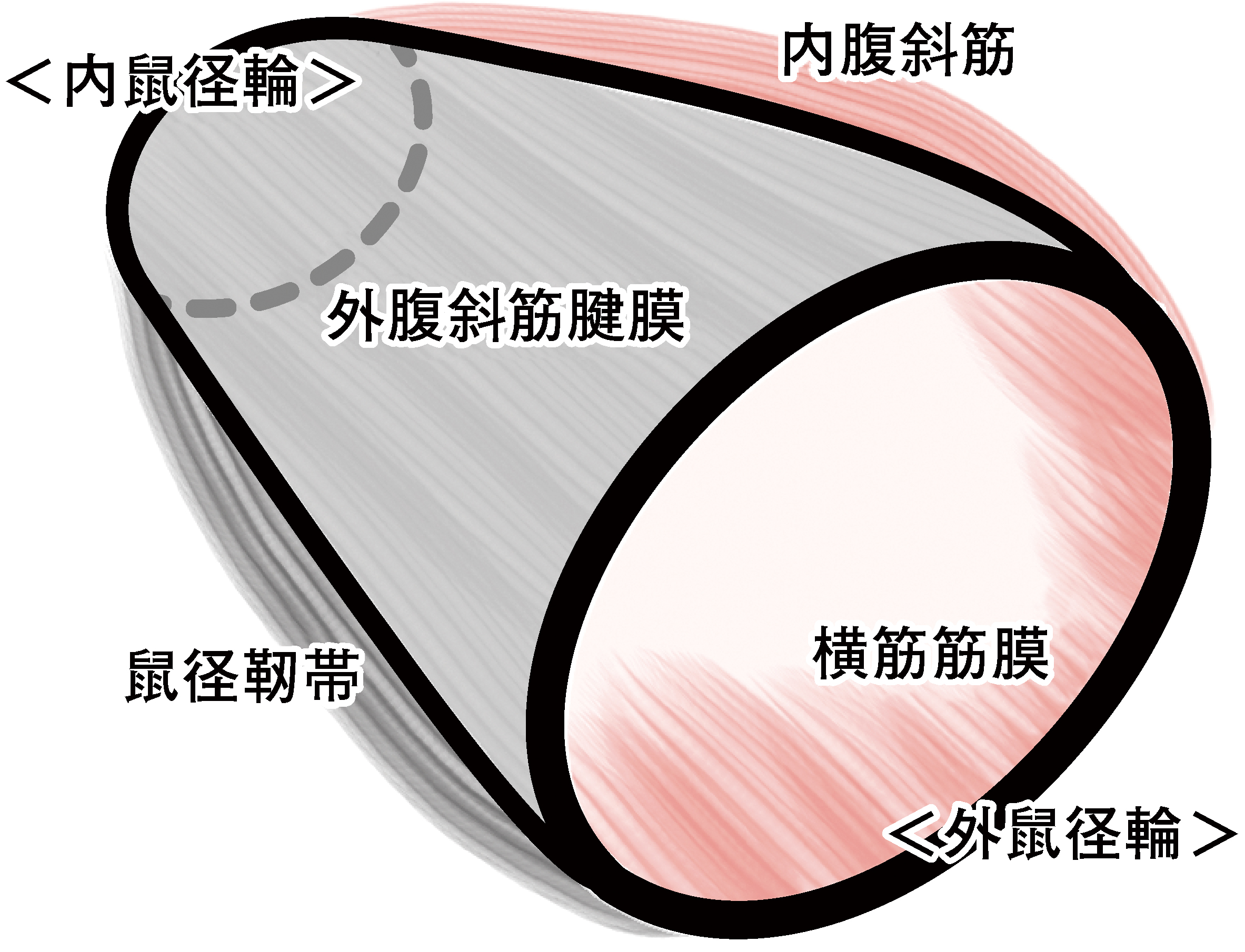 3573号_Web用_図1.jpg