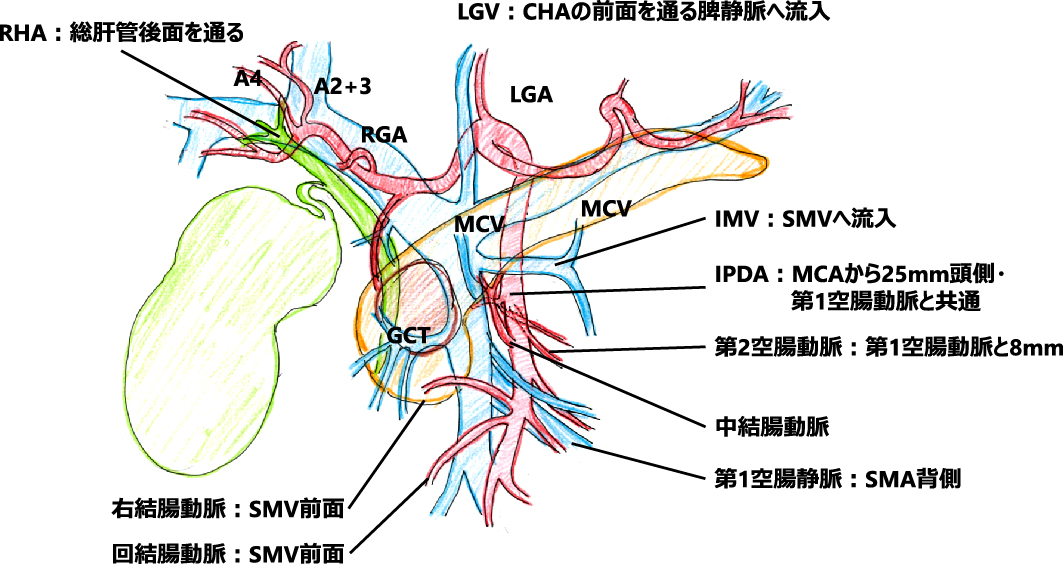 医学界新聞プラス_図2.jpg