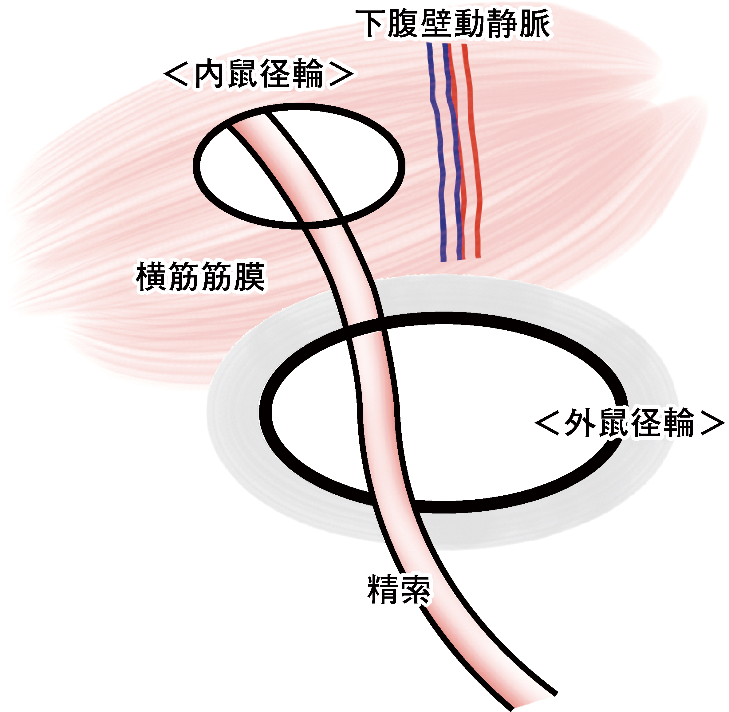 3573号_Web用_図2.jpg