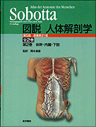 Sobotta 図説 人体解剖学　第5版