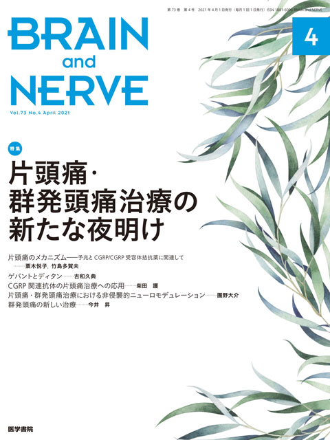 BRAIN and NERVE Vol.73 No.4