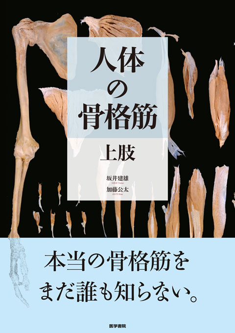 人体の骨格筋 上肢 書籍詳細 書籍 医学書院