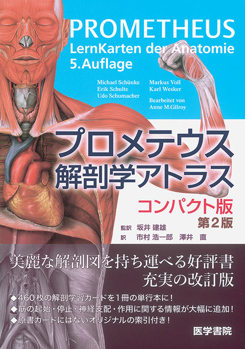 プロメテウス解剖学アトラス コンパクト版 第2版 書籍詳細 書籍 医学書院