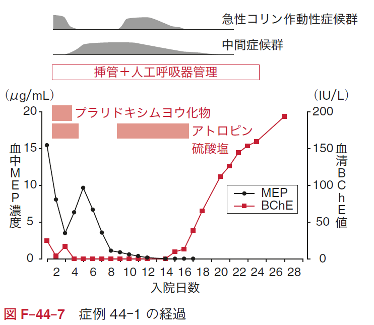 図F-44-7.png