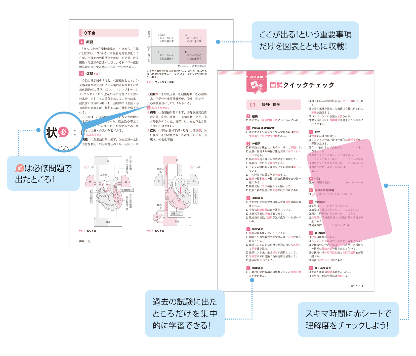 でるでた.png