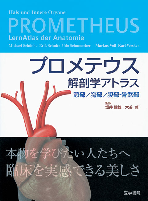 プロメテウス解剖学アトラス　頸部／胸部／腹部・骨盤部