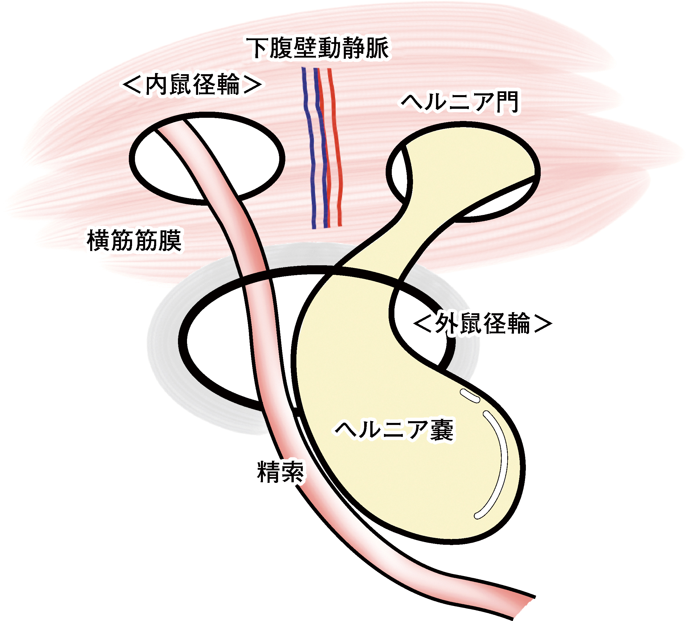 3573号_Web用_図4.jpg