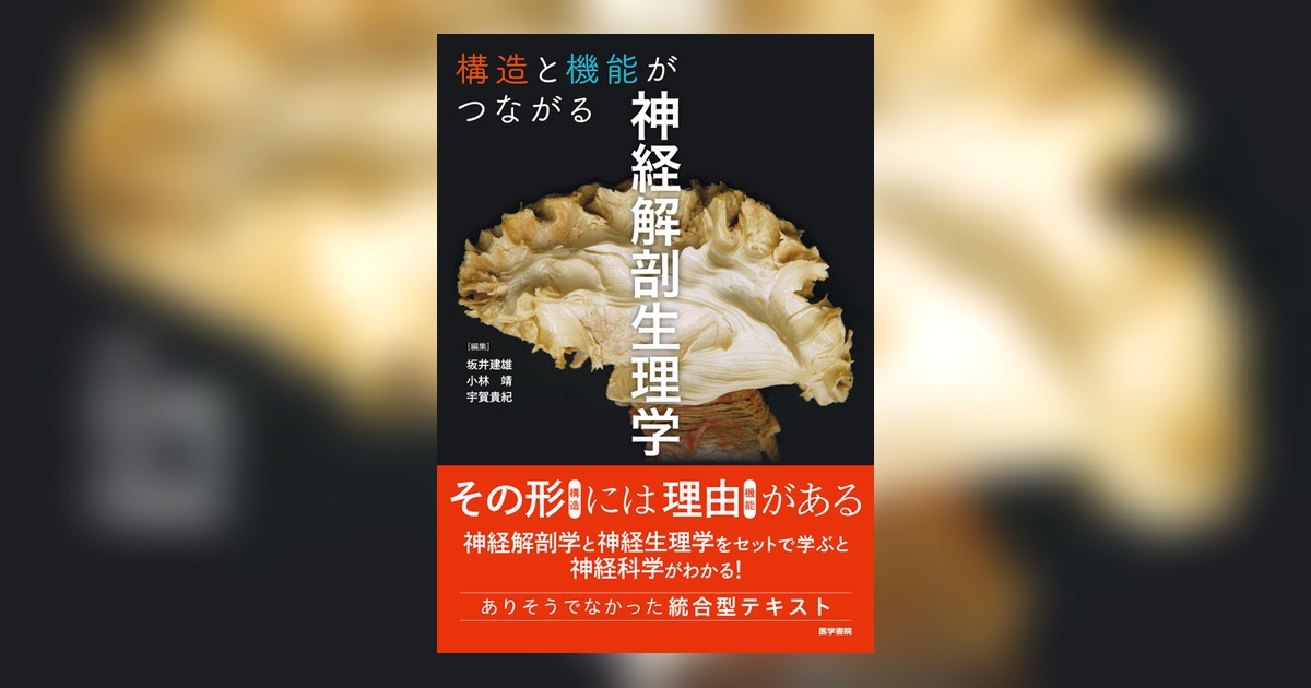 【裁断済み】構造と機能がつながる神経解剖生理学 構造と機能がつながる神経解剖生理学 | 書籍詳細 | 書籍 | 医学書院