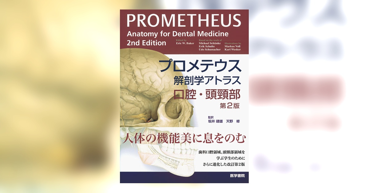 PROMETHEUS 解剖学アトラス 口腔・頭頸部 第2版 Amazon.com: プロメテウス解剖学アトラス 口腔・頭頸部 第2版