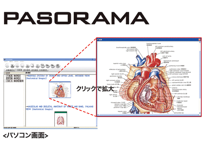 PASORAMA