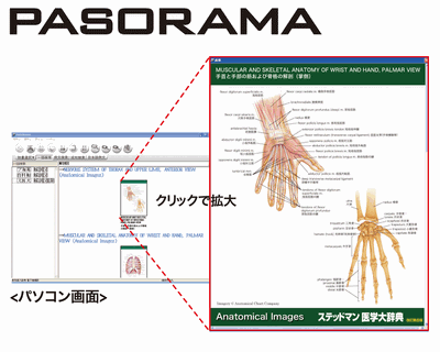 PASORAMA